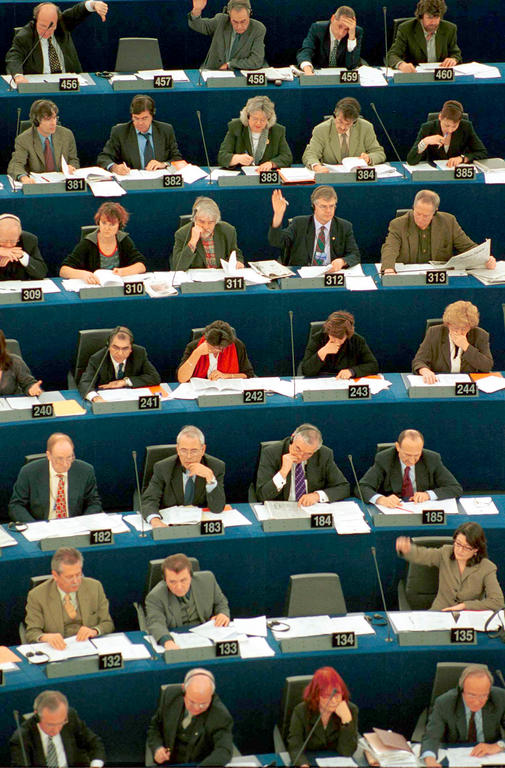 Voting in the European Parliament