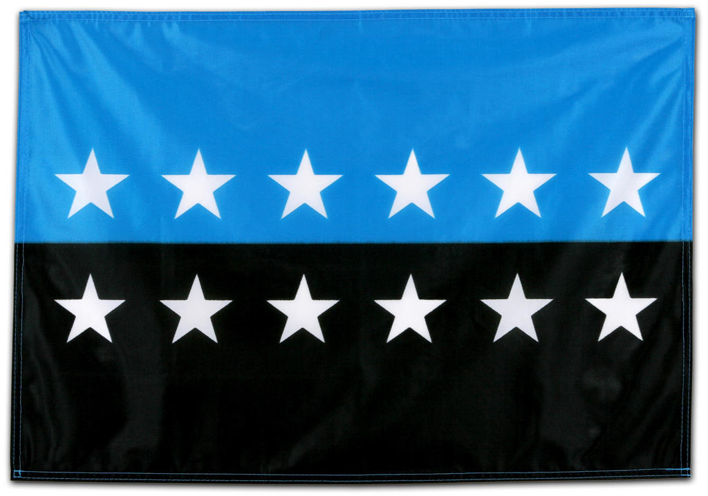 Le drapeau de la CECA (1986-2002)